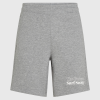 O'Neill the Future Surf Society Shorts - Silver Melee