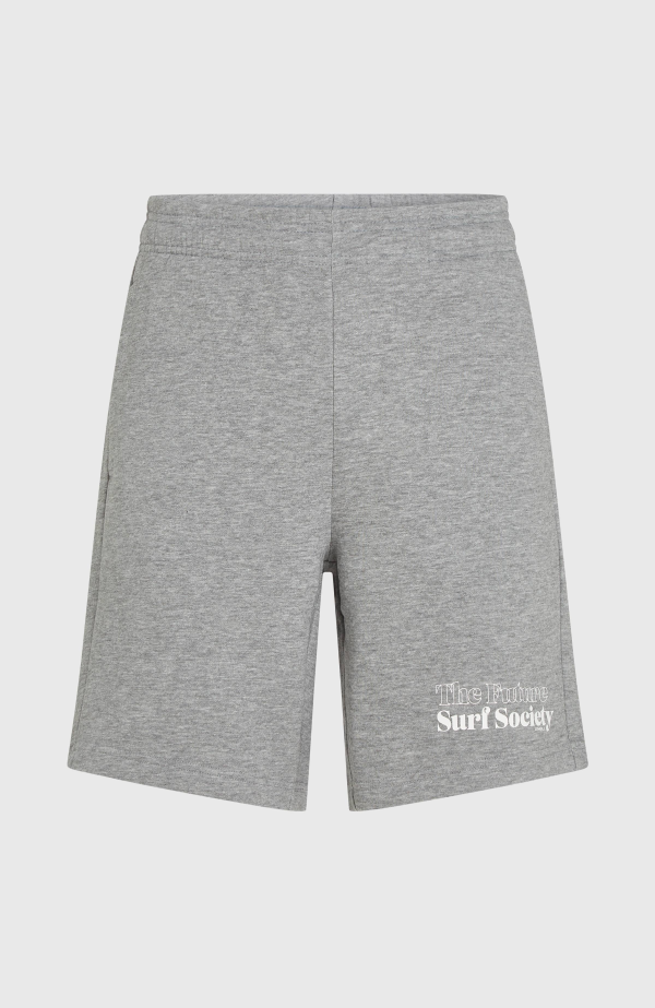 O'Neill the Future Surf Society Shorts - Silver Melee