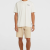 9aae4a6f-bb4e-49dd-a257-01103409ef6e O'Neill Polygiene Cotton Graphic T-shirt - Snow White