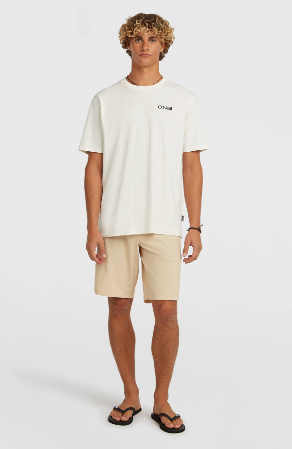 9aae4a6f-bb4e-49dd-a257-01103409ef6e O'Neill Polygiene Cotton Graphic T-shirt - Snow White