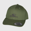 O'Neill Logo Wave Cap - Avery Fern