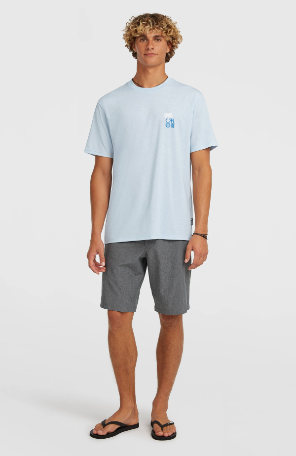 9e3d0b62-529e-40b2-8286-1ee5deb992cf O'Neill Hybrid Polygiene Graphic T-shirt - Spindle