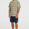 O'Neill O'riginals Cord Shorts - English Evening