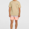 a204a3a3-cea4-48d1-9aad-0a5cebfd50e9 O'Neill Retro Back Print T-shirt - Cocoa Sand