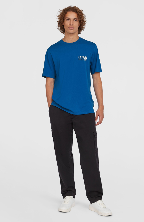 O'Neill Essentials Cargo Pants - Black Out