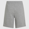 O'Neill the Future Surf Society Shorts - Silver Melee