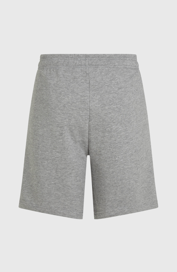 O'Neill the Future Surf Society Shorts - Silver Melee