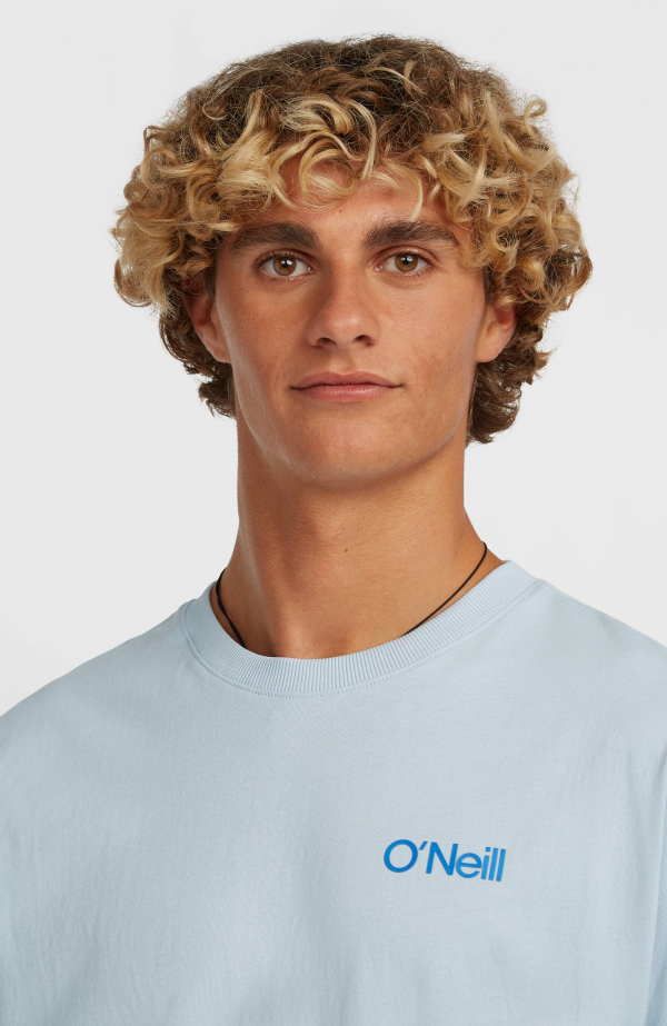 a8a17233-0bcb-4f88-8752-f3ae83486cd3 O'Neill Polygiene Cotton Graphic T-shirt - Spindle
