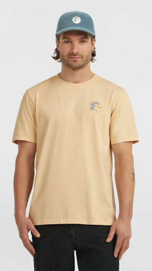 O'Neill O'riginals Retro Back Print T-shirt - Macaron
