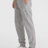 afac62a7-7785-4983-8a71-74076e8d785b O'Neill Small Logo Sweatpants-Silver Melee
