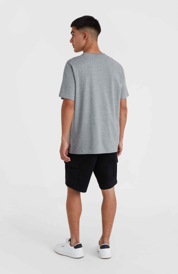 O'Neill Logo T-shirt - Silver Melee