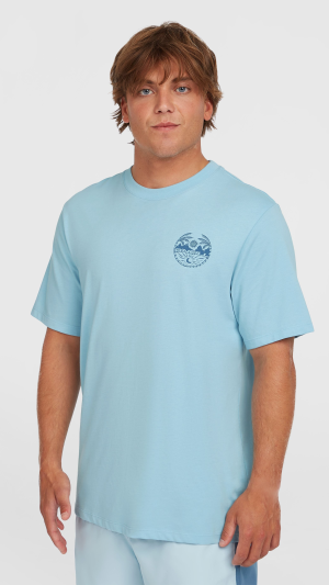 O'Neill Back Print T-shirt - Morning Glory Melange