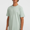 c26bd04b-2b73-4bb5-ac88-26e8a9df980b O'Neill Retro Back Print T-shirt - Marble Arch