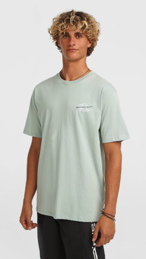 c26bd04b-2b73-4bb5-ac88-26e8a9df980b O'Neill Retro Back Print T-shirt - Marble Arch