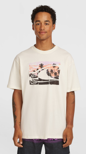 O'Neill Gradient T-shirt - Snow White