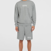 O'Neill the Future Surf Society Shorts - Silver Melee