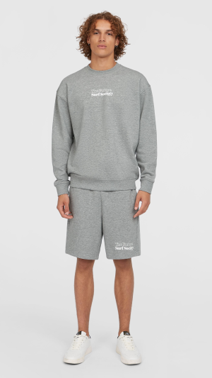 O'Neill the Future Surf Society Shorts - Silver Melee