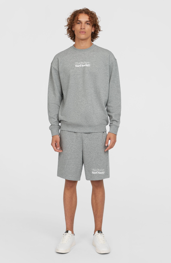 O'Neill the Future Surf Society Shorts - Silver Melee