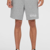 O'Neill the Future Surf Society Shorts - Silver Melee