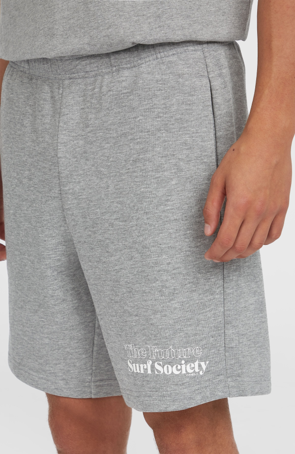 O'Neill the Future Surf Society Shorts - Silver Melee