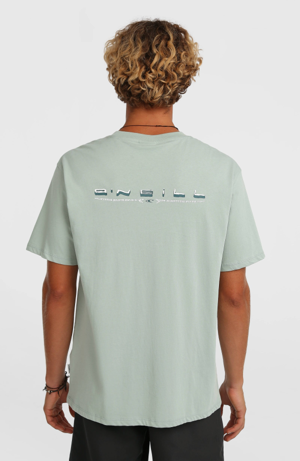 d957e69b-7522-442e-b86f-cc16404d32fd O'Neill Retro Back Print T-shirt - Marble Arch