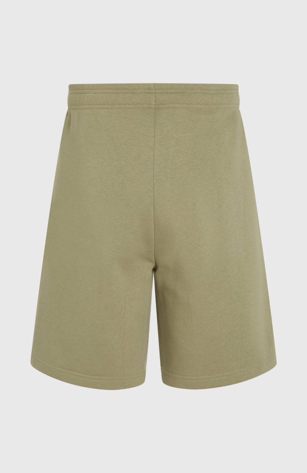 O'Neill the Future Surf Society Shorts - Avery Fern