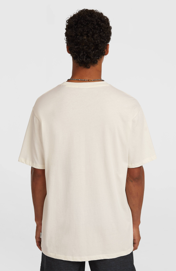 O'Neill Gradient T-shirt - Snow White