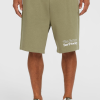 O'Neill the Future Surf Society Shorts - Avery Fern