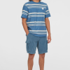 f0de0dfa-79bc-4df2-8951-917d5676393c O'Neill O'riginals Cord Cargo Shorts - Copen Blue