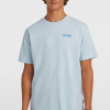 f690a475-926e-422e-b82d-f2f3a66ee24c O'Neill Polygiene Cotton Graphic T-shirt - Spindle