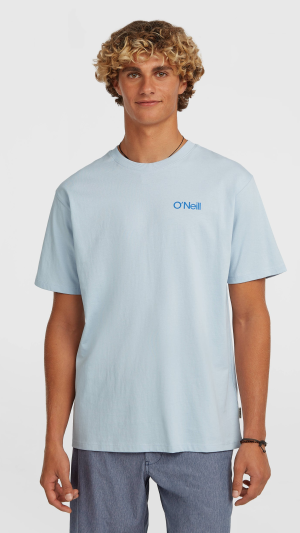 f690a475-926e-422e-b82d-f2f3a66ee24c O'Neill Polygiene Cotton Graphic T-shirt - Spindle