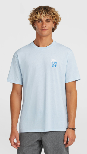 O'Neill Hybrid Polygiene Graphic T-shirt - Spindle