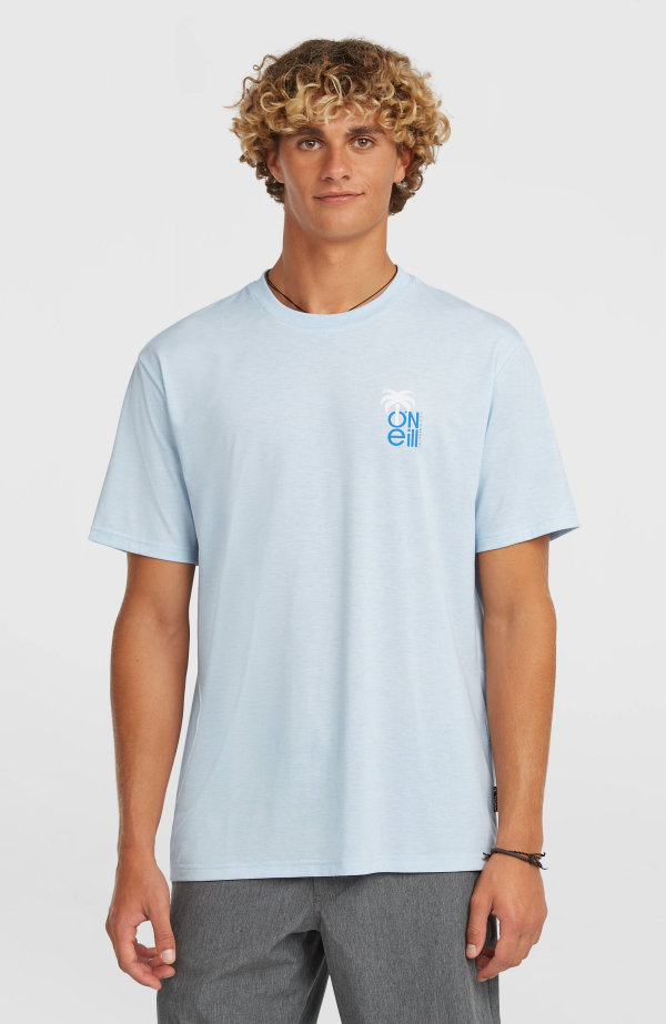 f6b64e4d-6fb3-4671-aa50-8585bdd1717e O'Neill Hybrid Polygiene Graphic T-shirt - Spindle