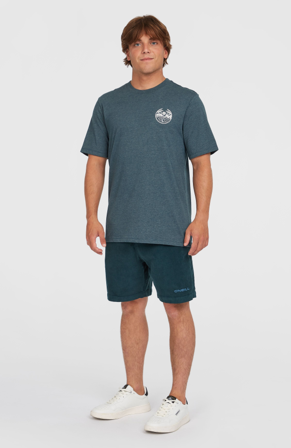 fd3799f4-6525-4e31-b987-3fecc915de4a O'Neill Back Print T-shirt - Alma Steel Melange